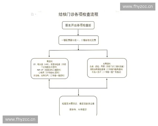 血检流程详解从预约到结果解读的全流程指南