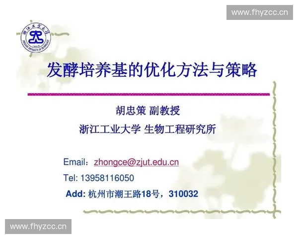 大型体育赛事人员调配优化策略与精细化实施路径系统全面化探讨 大型体育赛事人员调配优化策略与精细化实施路径系统全面化探讨