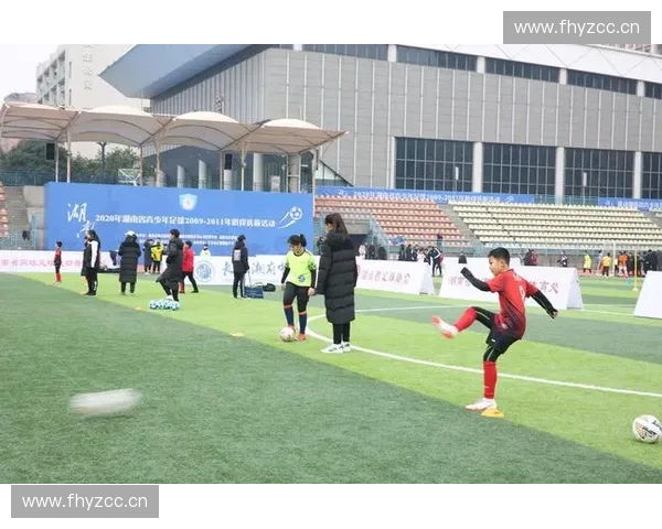 以体育竞技梯队建设为核心推动青少年人才培养与竞技水平提升研究