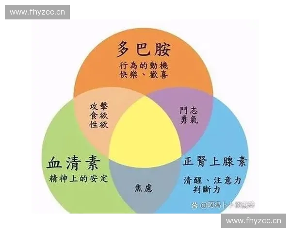 全面解析排汗功能的重要性及其对身体健康的影响与调节作用